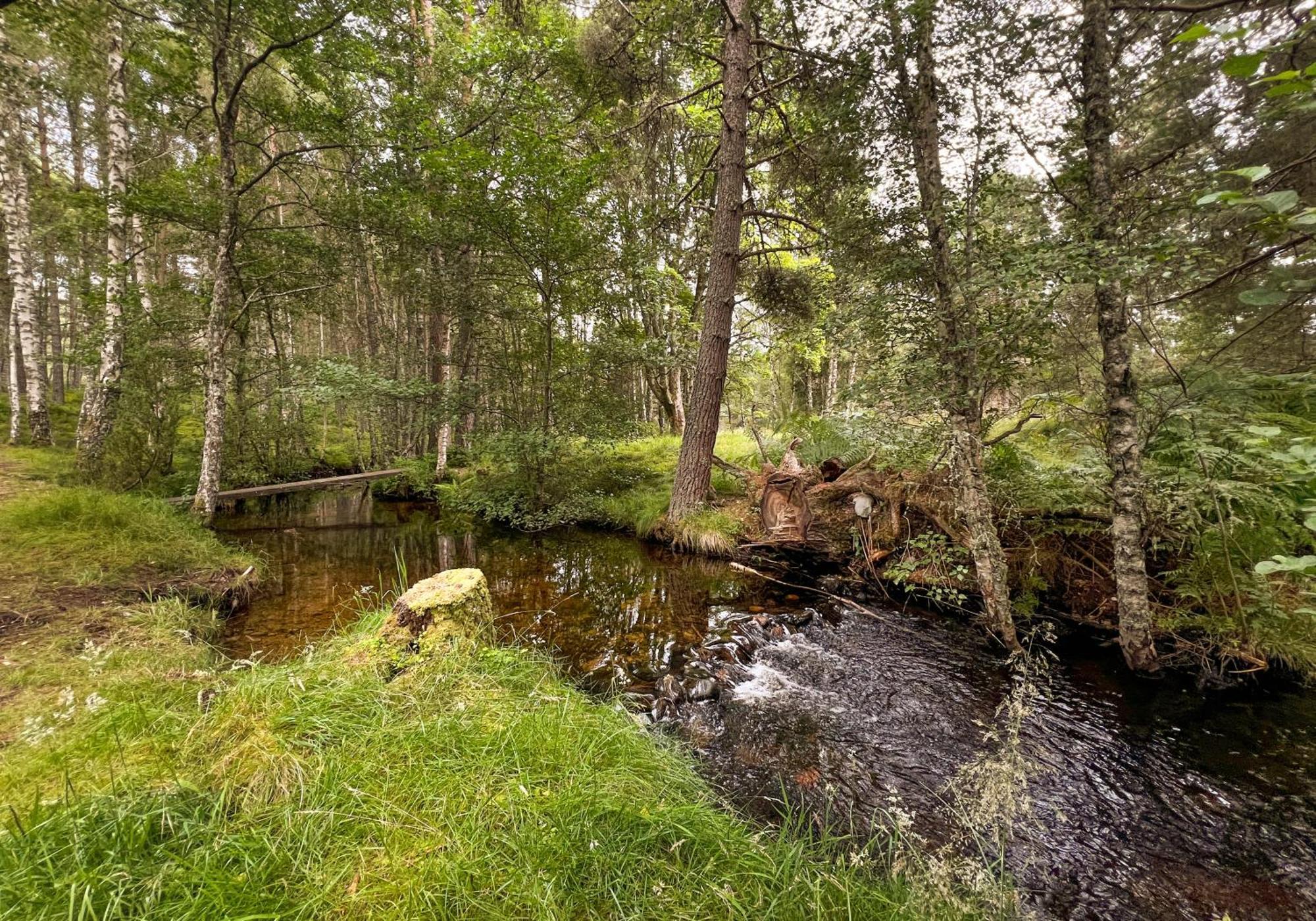 Cairngorm Lodge Rothiemurchus Авимор Экстерьер фото
